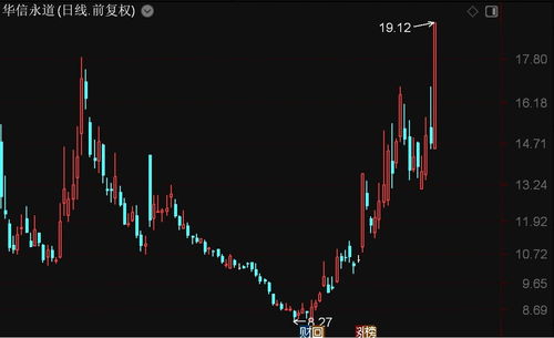 北證50指數(shù)大漲超2%，華信永道及聯(lián)迪信息等多股漲停，信息系統(tǒng)集成服務(wù)板塊表現(xiàn)搶眼